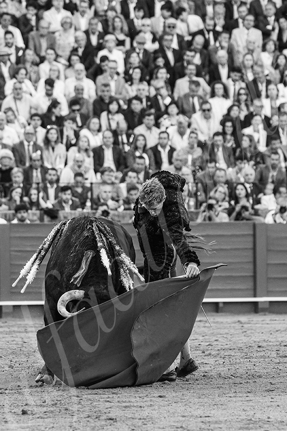 20250506 sevilla 012 fd