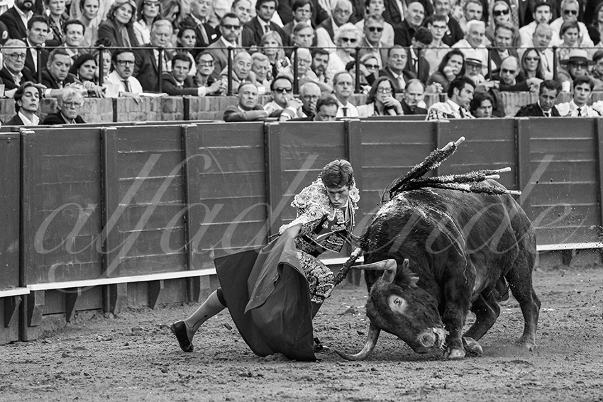 20250506 sevilla 033 fd