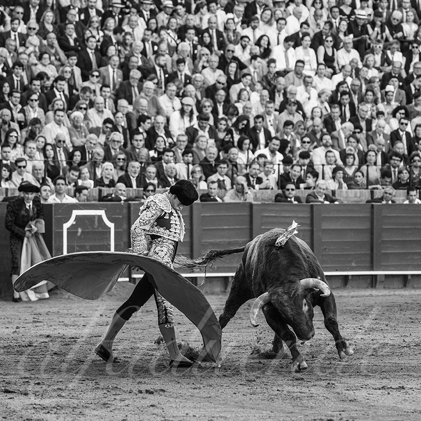 20250506 sevilla 032 fd