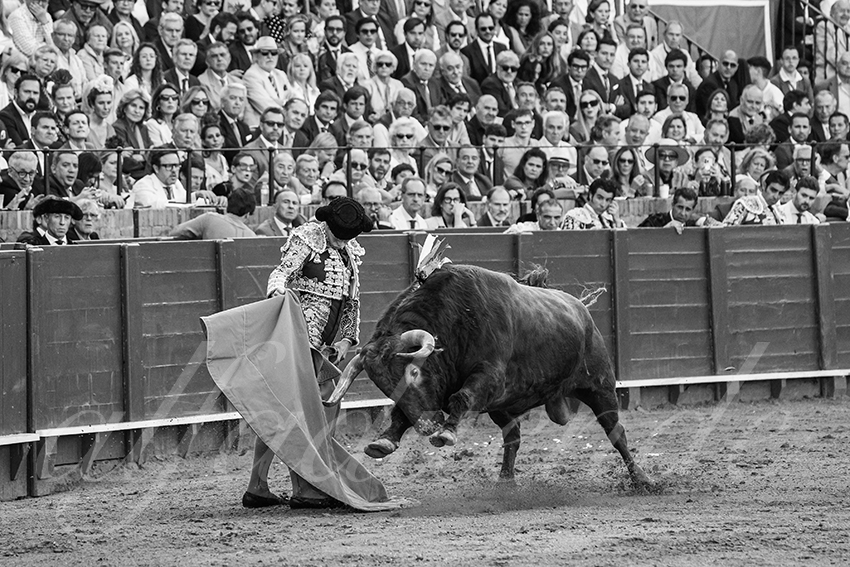 20250506 sevilla 031 fd