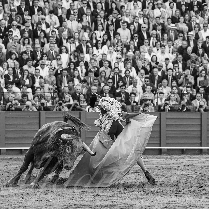 20250506 sevilla 030 fd