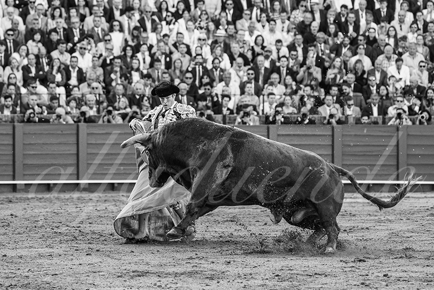 20250506 sevilla 029 fd