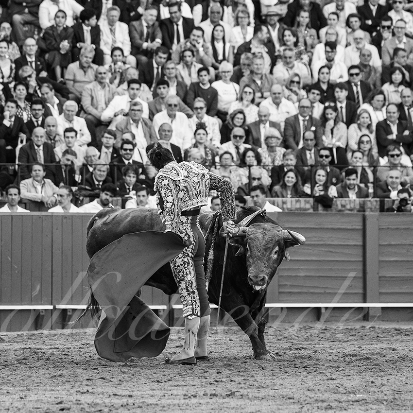 20250506 sevilla 028 fd