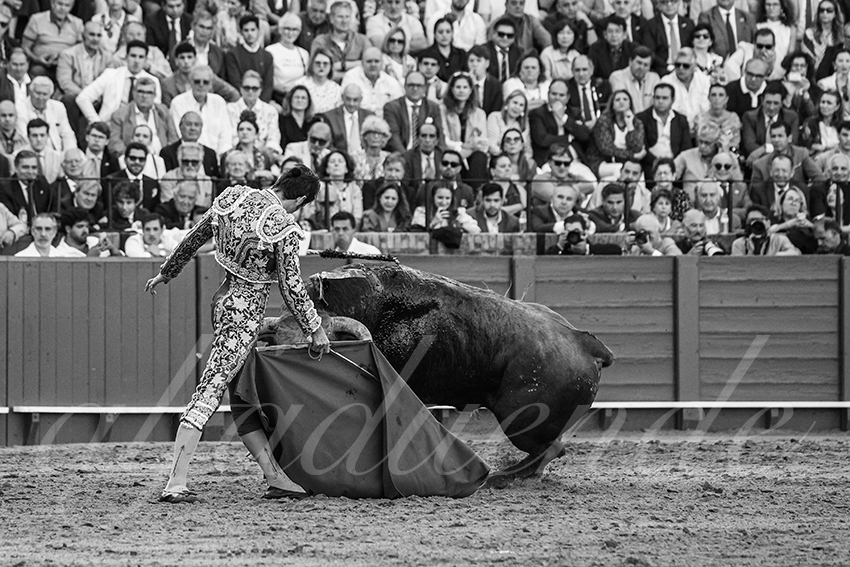 20250506 sevilla 027 fd