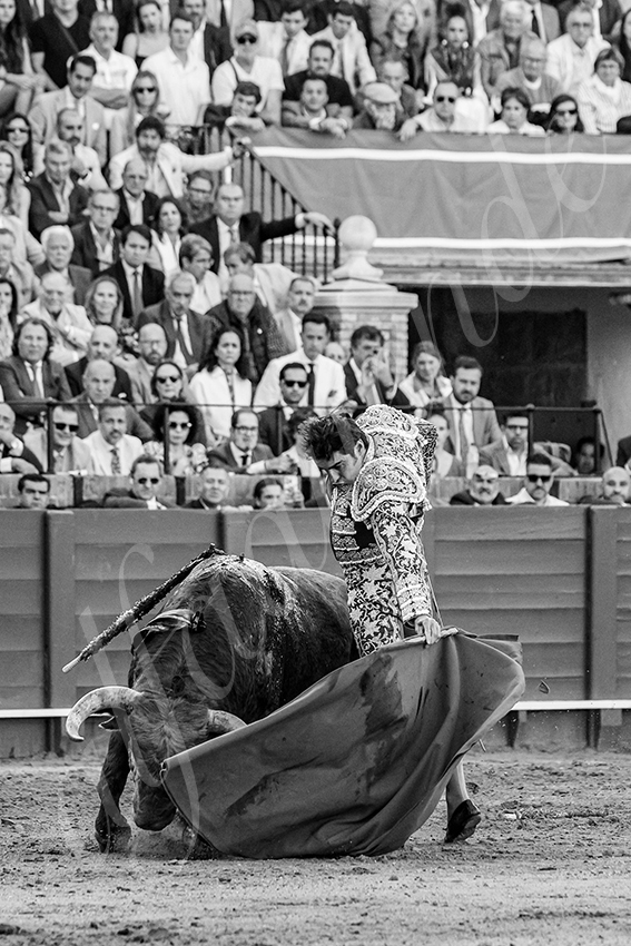 20250506 sevilla 026 fd