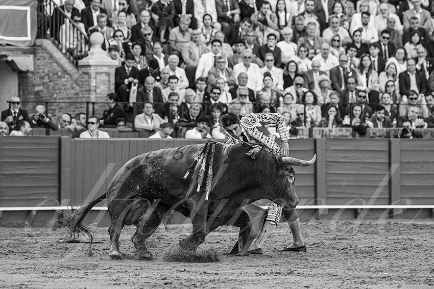 20250506 sevilla 025 fd