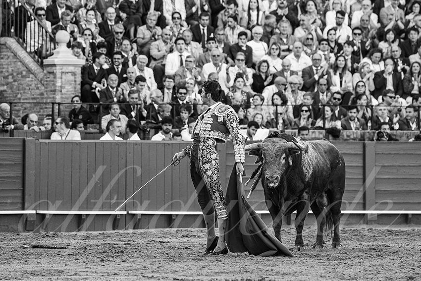 20250506 sevilla 024 fd