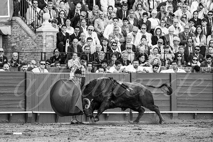 20250506 sevilla 023 fd