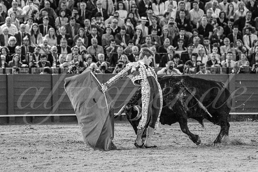 20250506 sevilla 044 fd