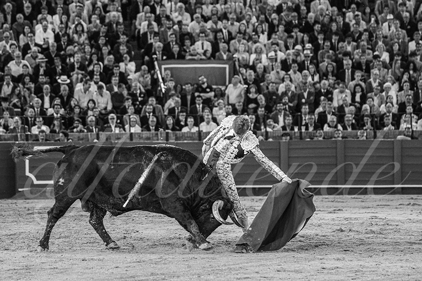 20250506 sevilla 043 fd