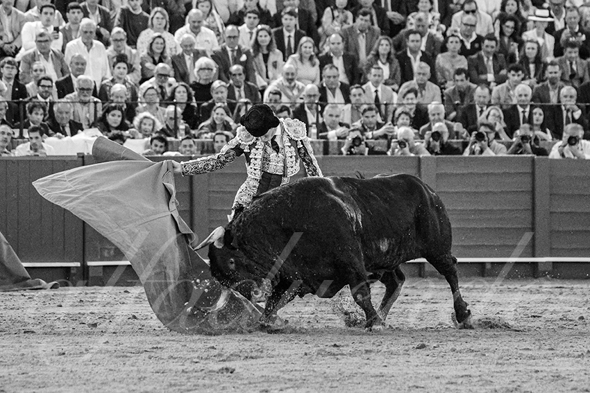 20250506 sevilla 042 fd