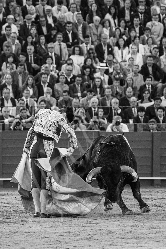 20250506 sevilla 041 fd