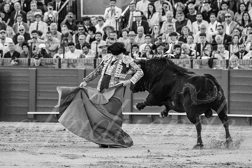 20250506 sevilla 040 fd