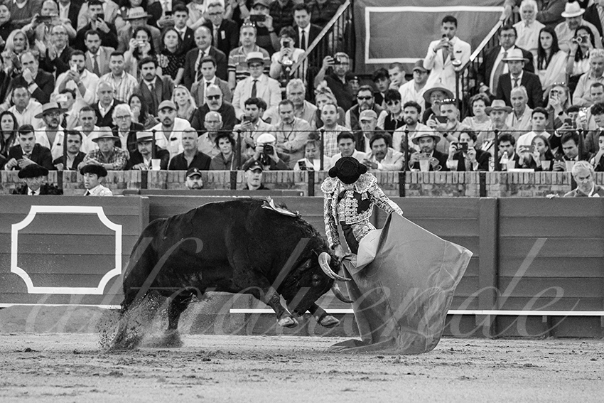 20250506 sevilla 039 fd