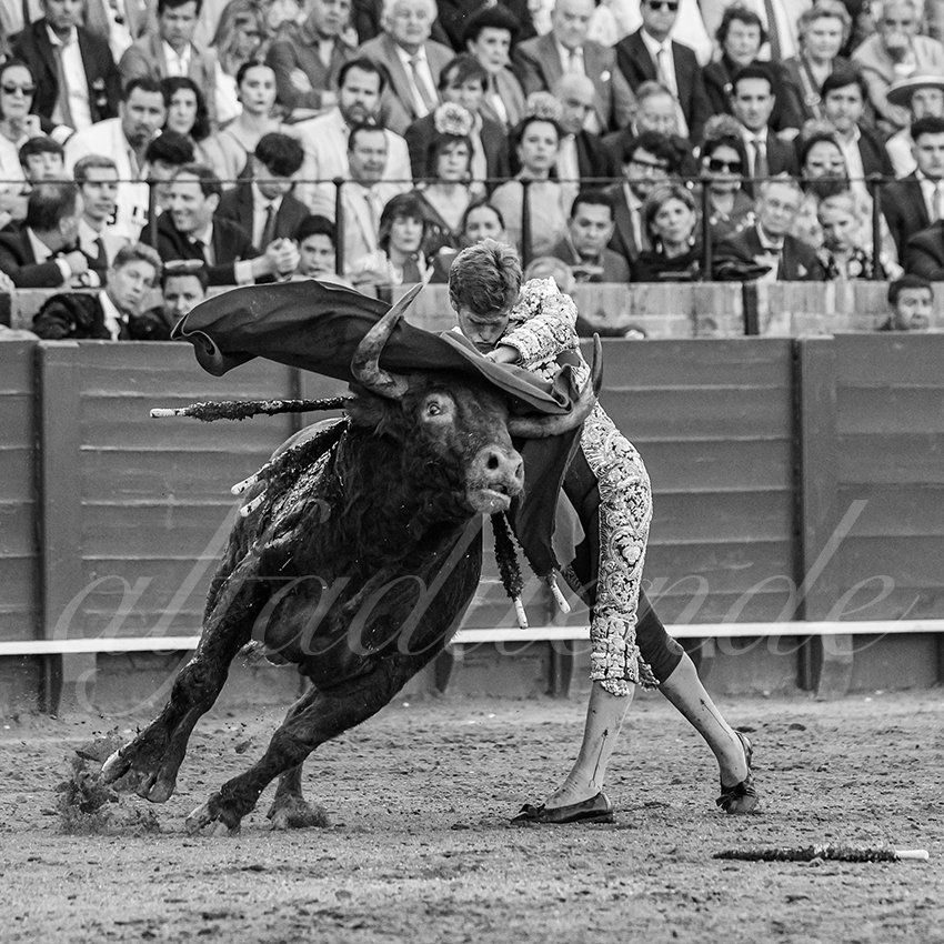 20250506 sevilla 038 fd