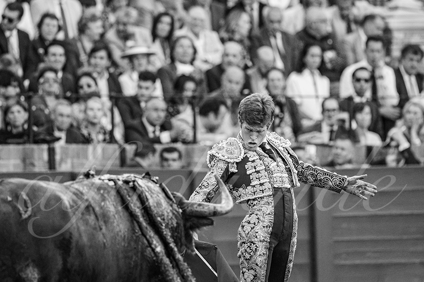 20250506 sevilla 037 fd