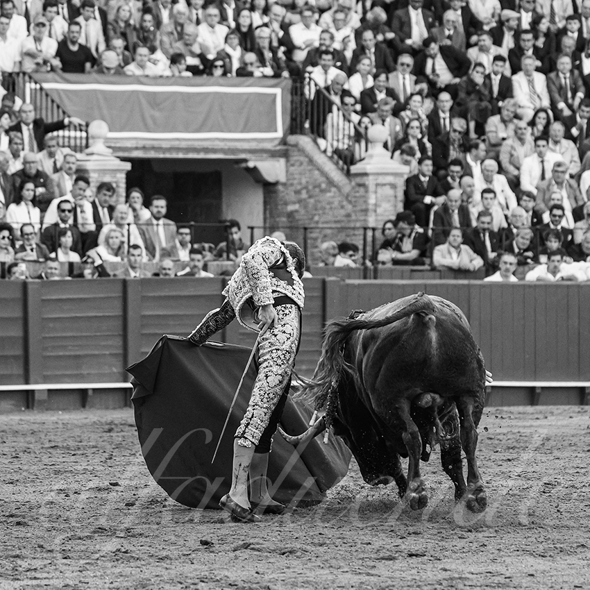 20250506 sevilla 036 fd