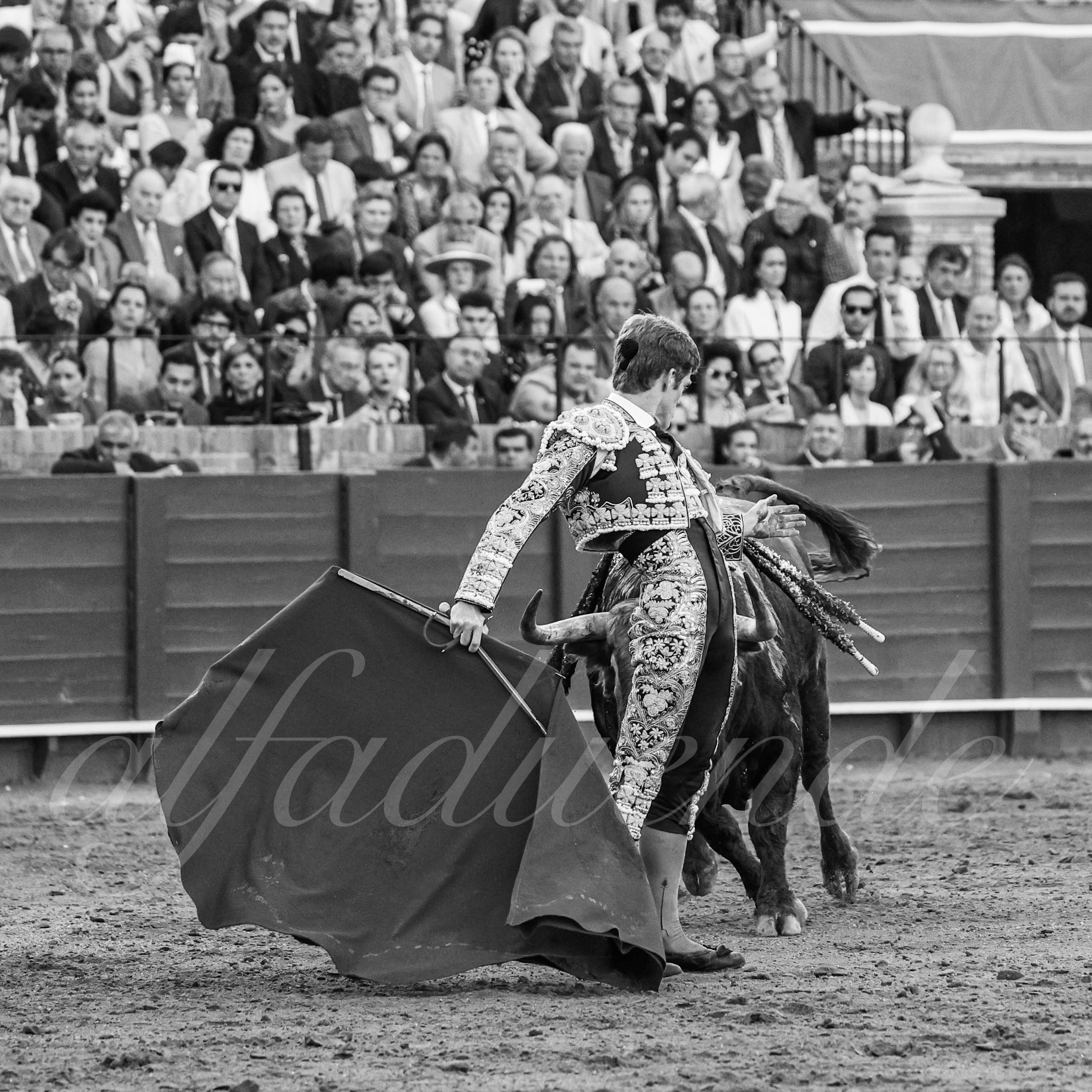 20250506 sevilla 035 fd