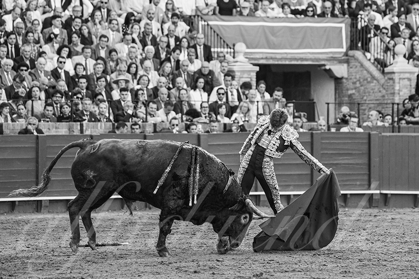 20250506 sevilla 034 fd