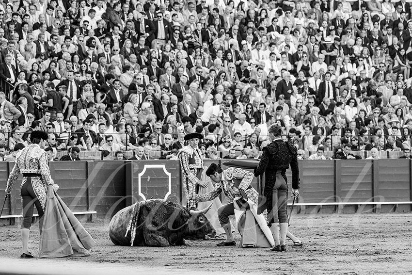 20250506 sevilla cuadrillas 002 copie