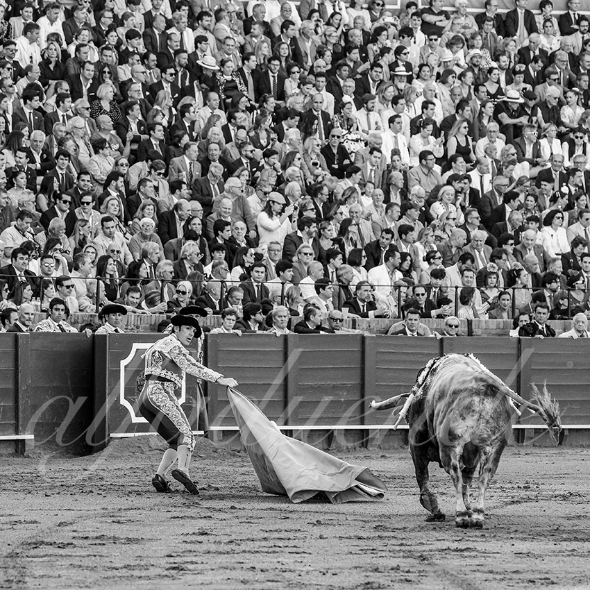 20250506 sevilla cuadrillas 001 copie