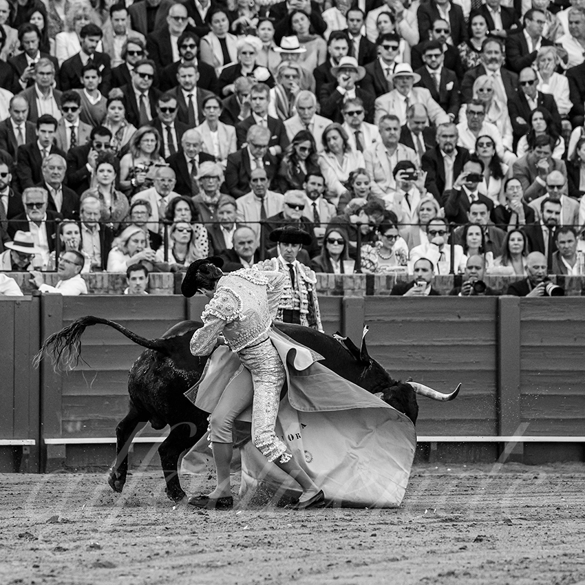 20250507 sevilla 011 fd