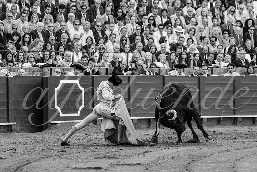 20250507 sevilla 010 fd