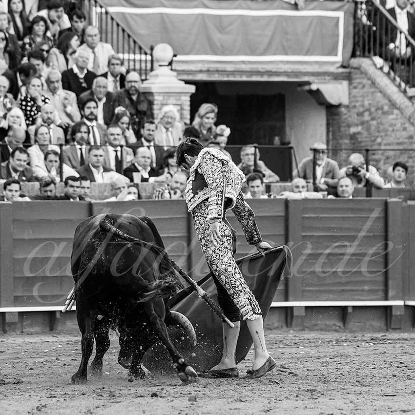 20250507 sevilla 009 fd