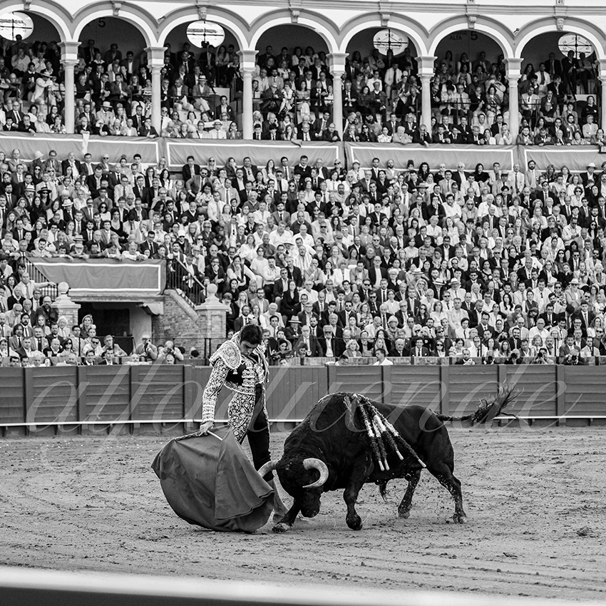 20250507 sevilla 008 fd