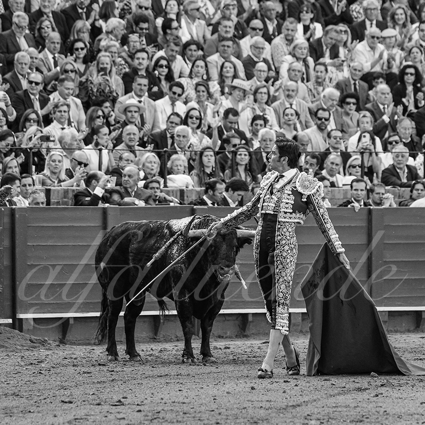 20250507 sevilla 007 fd