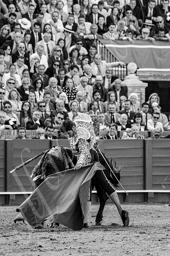 20250507 sevilla 006 fd