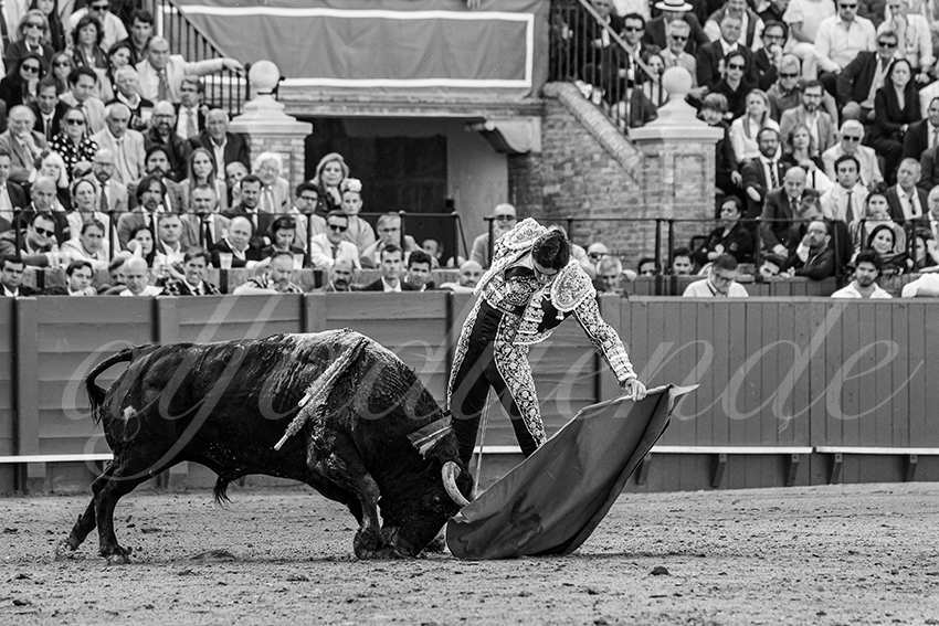 20250507 sevilla 005 fd
