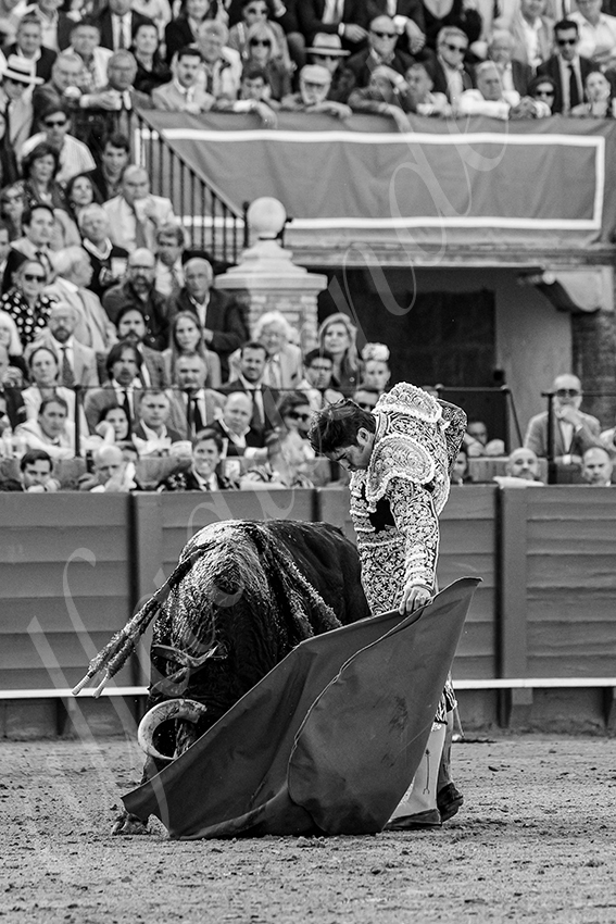 20250507 sevilla 004 fd