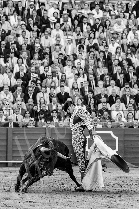 20250507 sevilla 003 fd