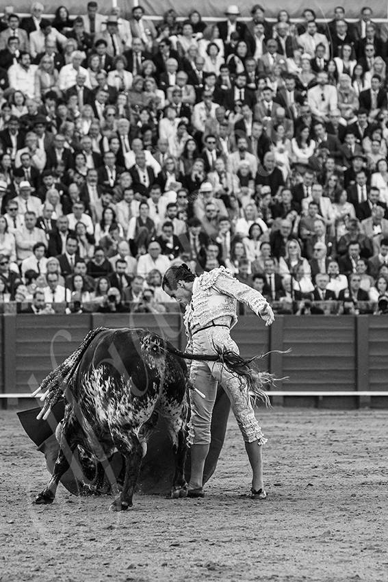 20250507 sevilla 022 fd