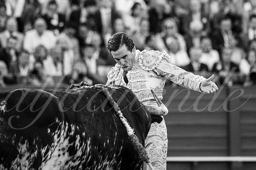 20250507 sevilla 021 fd