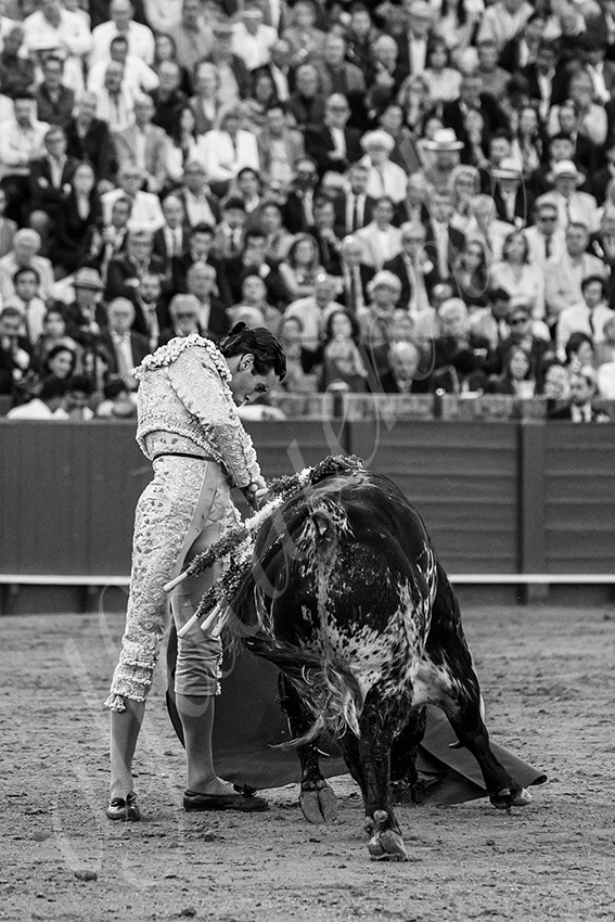 20250507 sevilla 020 fd