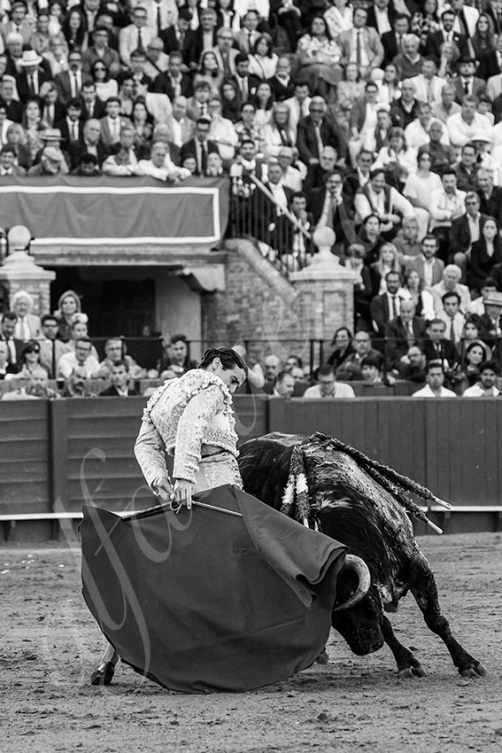 20250507 sevilla 019 fd