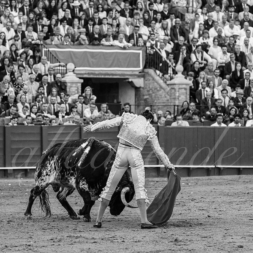 20250507 sevilla 018 fd