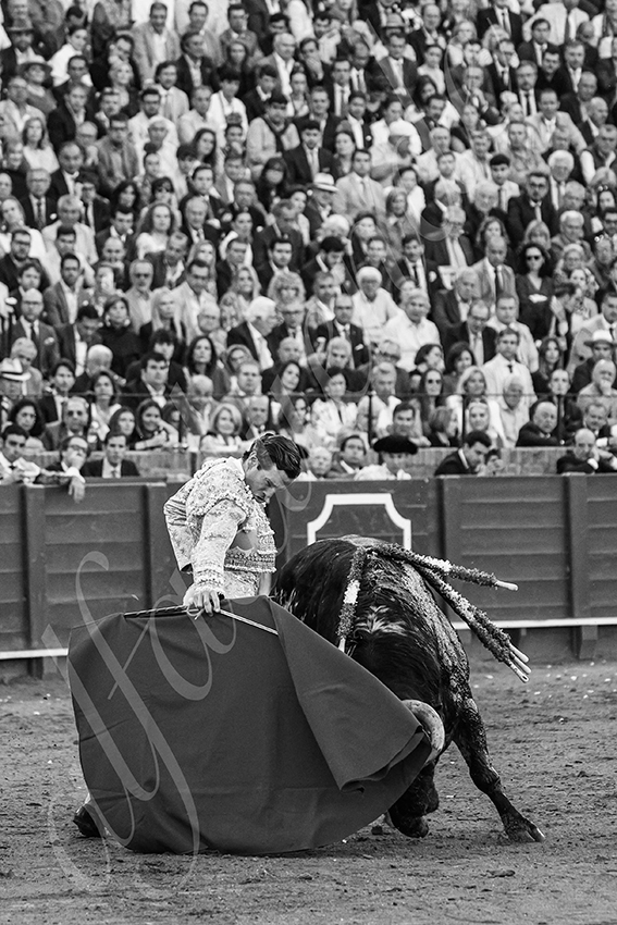 20250507 sevilla 017 fd