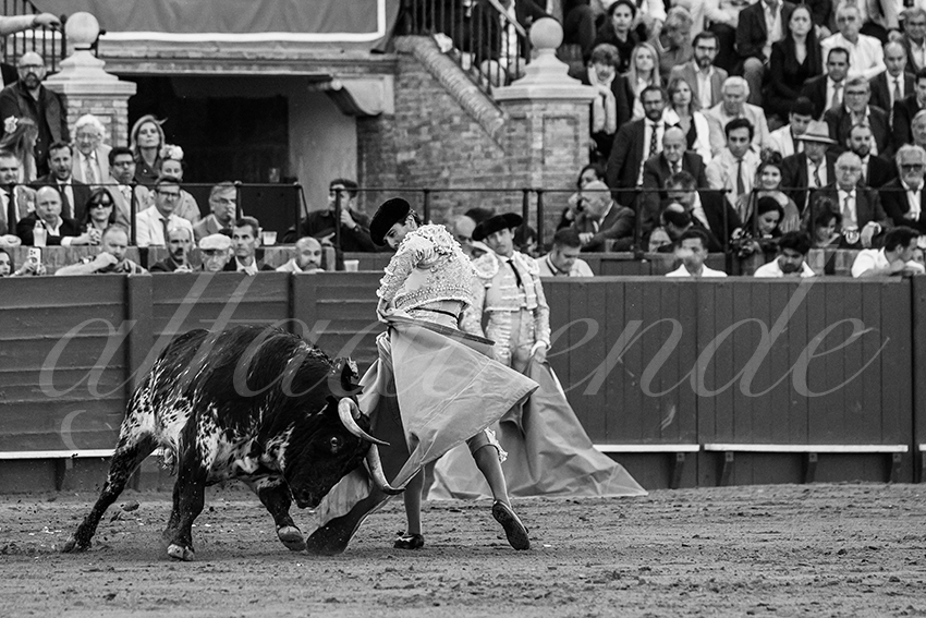 20250507 sevilla 016 fd