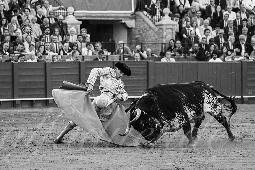 20250507 sevilla 015 fd