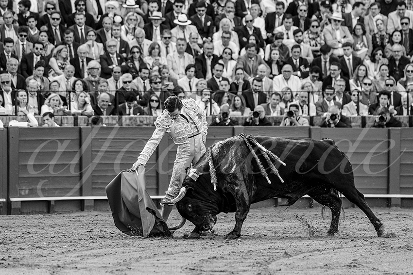 20250507 sevilla 014 fd