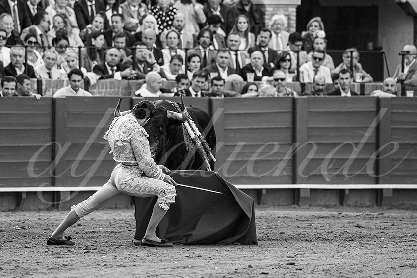 20250507 sevilla 013 fd