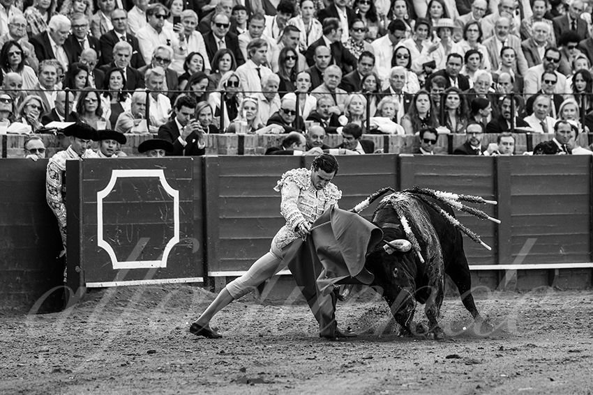 20250507 sevilla 012 fd