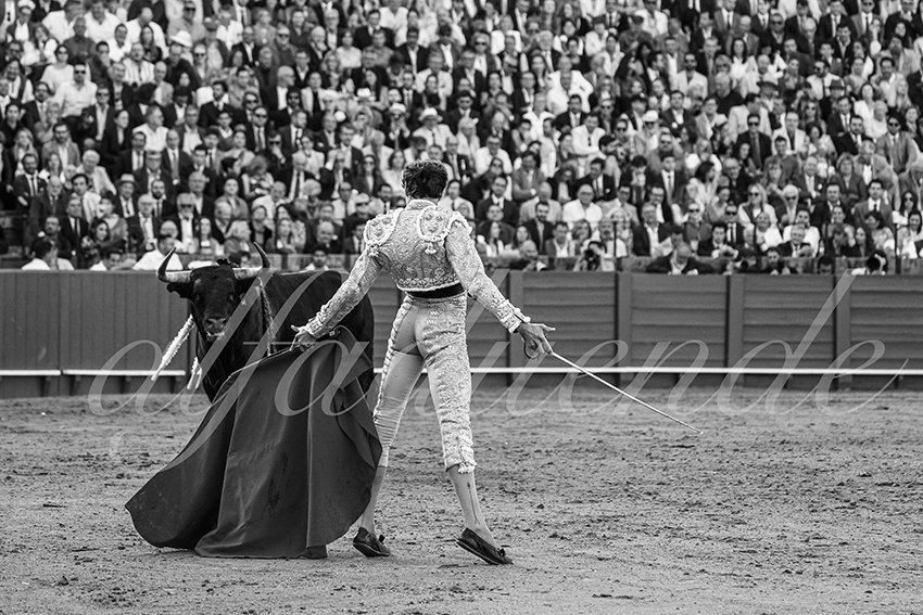 20250507 sevilla 033 fd