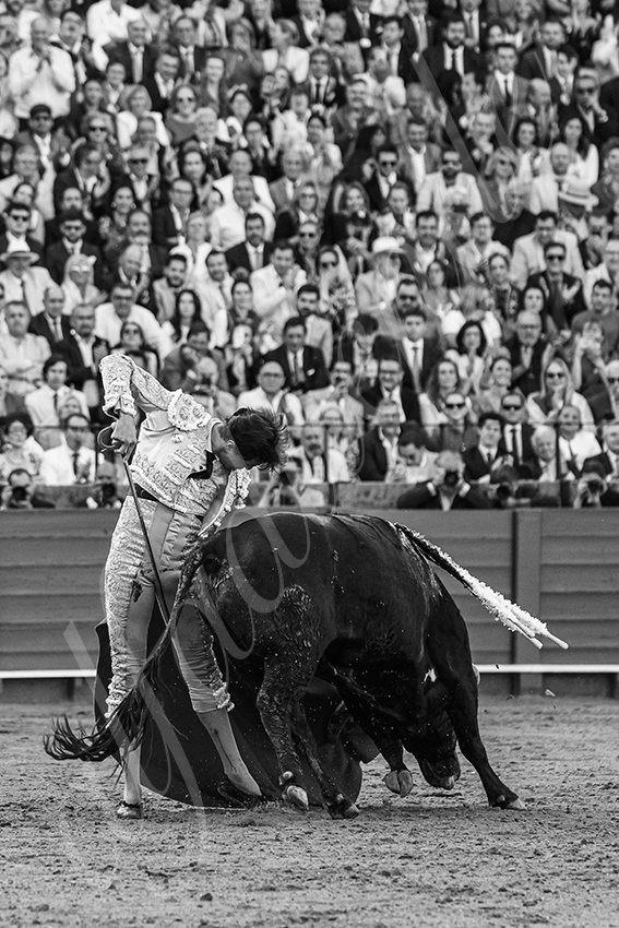 20250507 sevilla 032 fd