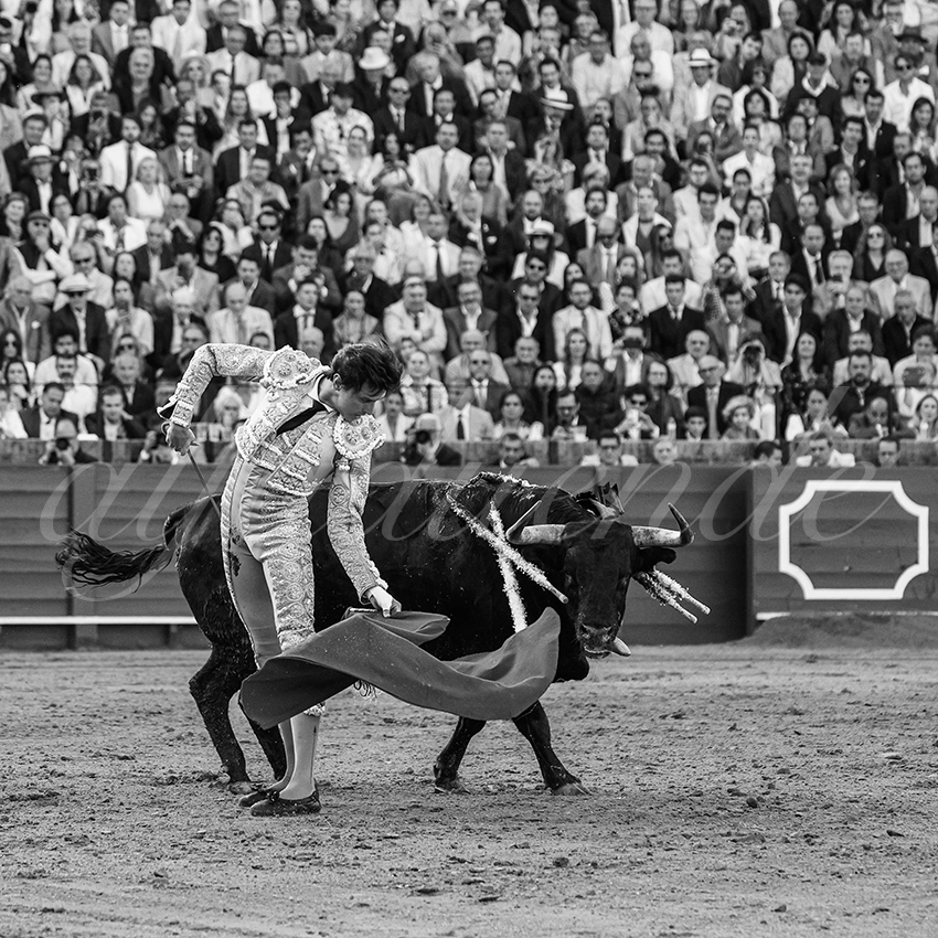 20250507 sevilla 031 fd