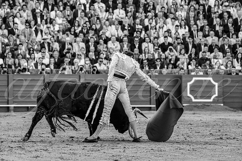 20250507 sevilla 030 fd