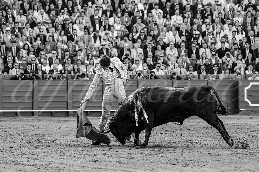 20250507 sevilla 029 fd